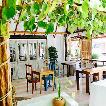 Posada Amor Hotel Boutique Puerto Morelos Exteriör bild